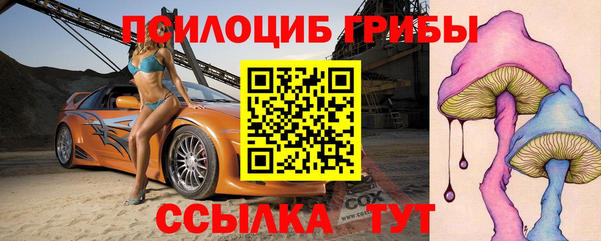 Белогорск  Псилоцибиновые грибы Psilocybe  Вход с VPN  Псилоцибиновые грибы Cubensis 