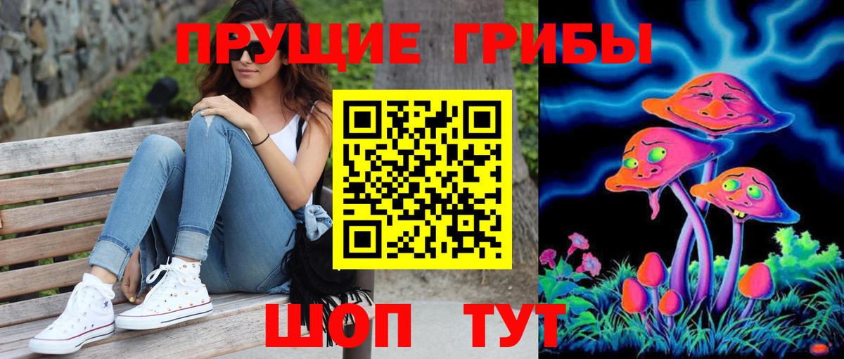 Псилоцибиновые грибы Cubensis Белогорск